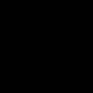 Meet your Posher, Sadie